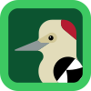 badge profile